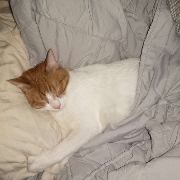 Meet your Posher, Jennifer - Picture 13 of 15